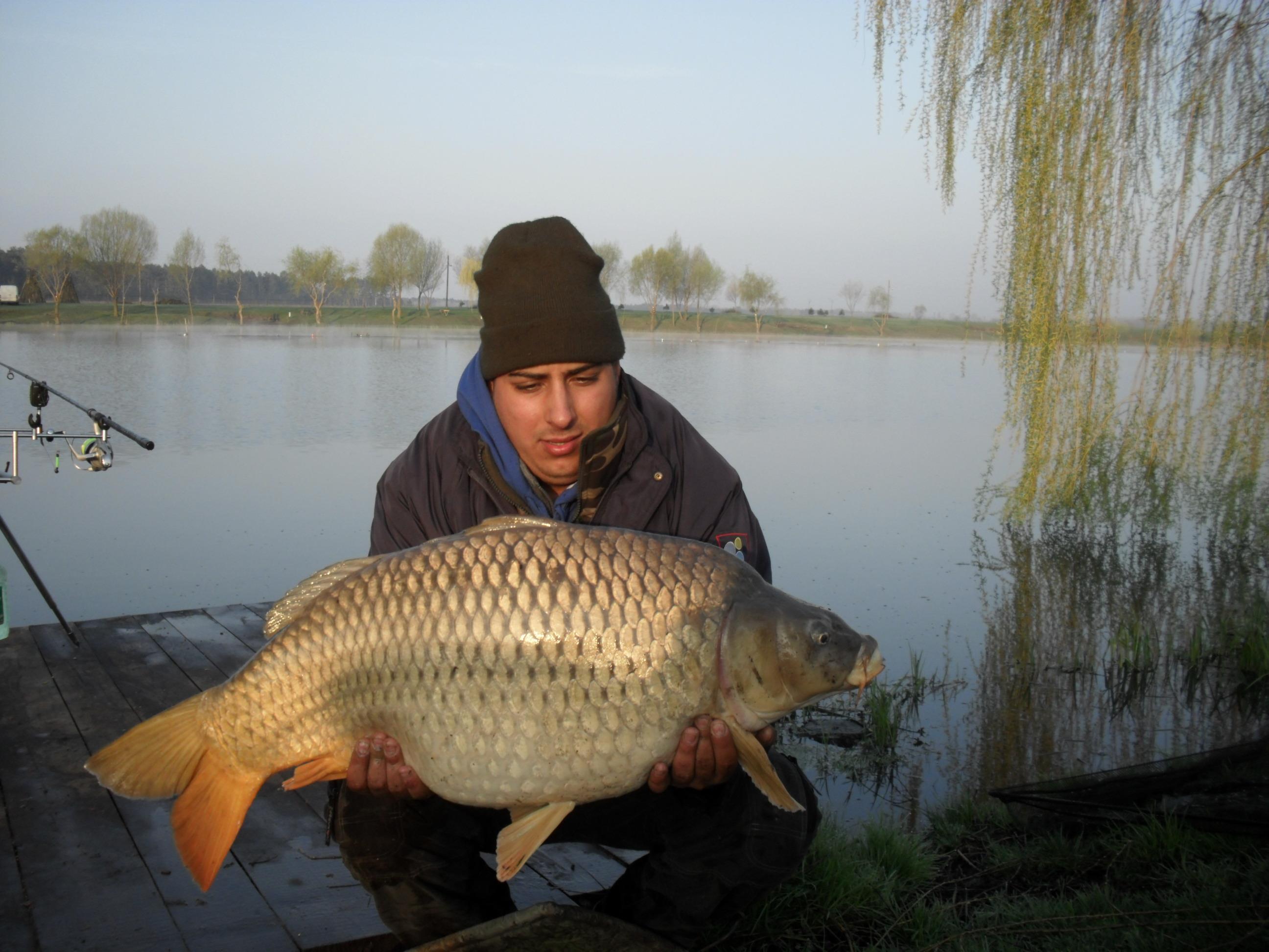 Palic 2012 primavara - SAM_0618.JPG